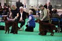 Crufts2011 230